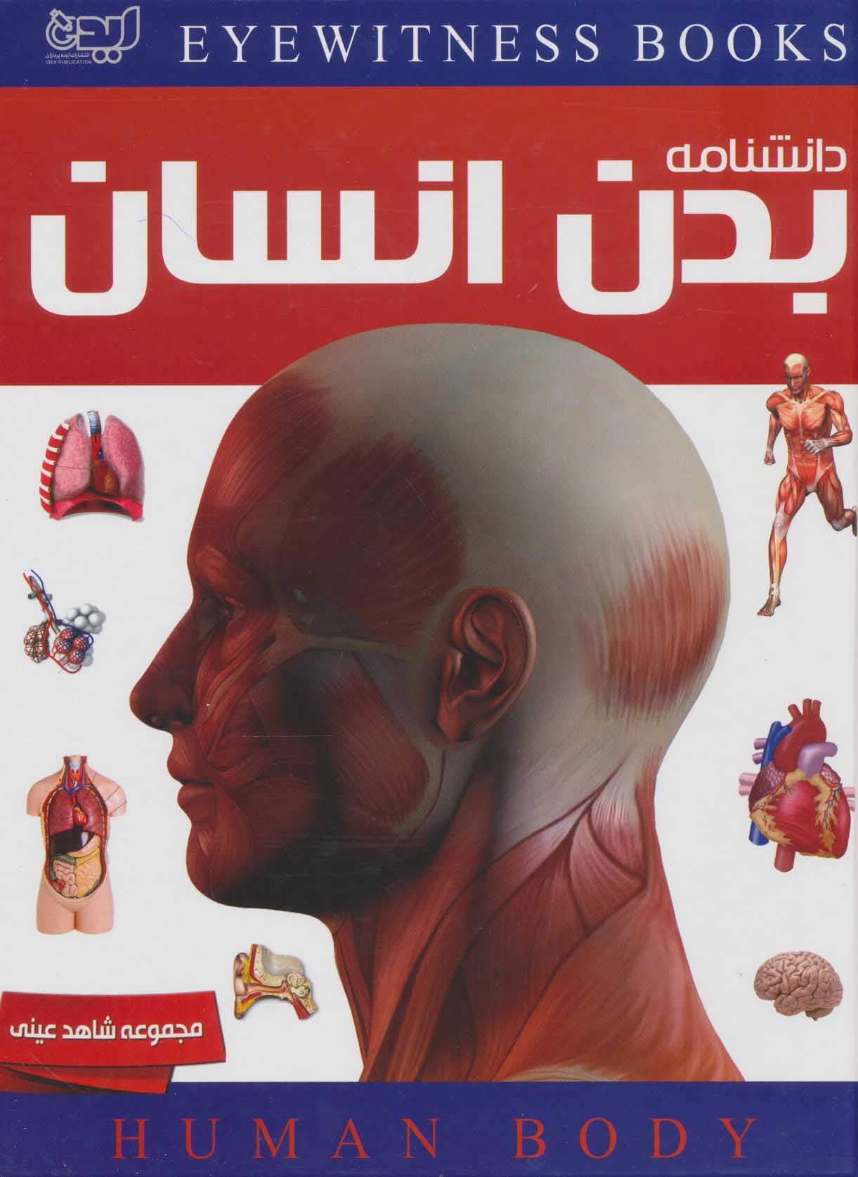 پایانه - دانشنامه بدن انسان