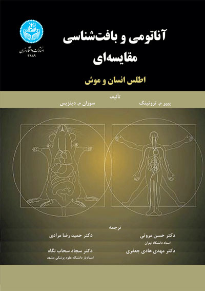 پایانه - آناتومی و بافت شناسی مقایسه ای