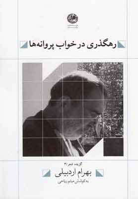 پایانه - رهگذری در خواب پروانه ها