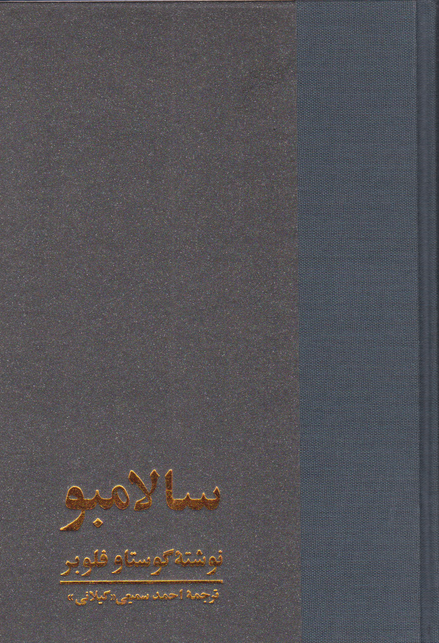 پایانه - سالامبو