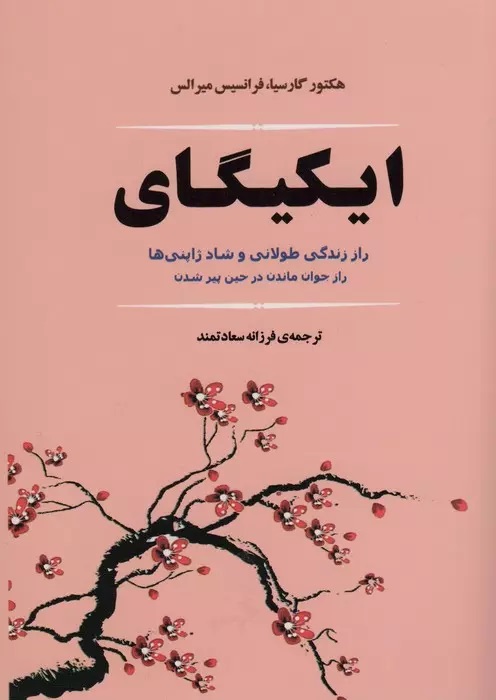 پایانه - ایکیگای