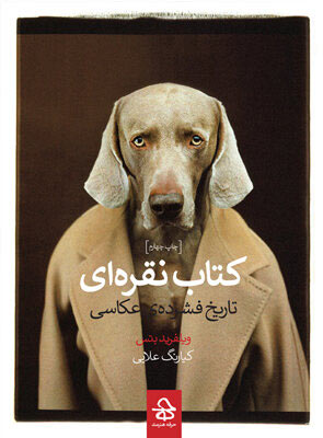 پایانه - نقره ای