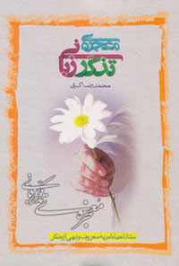 پایانه - معجزه تذکر زبانی