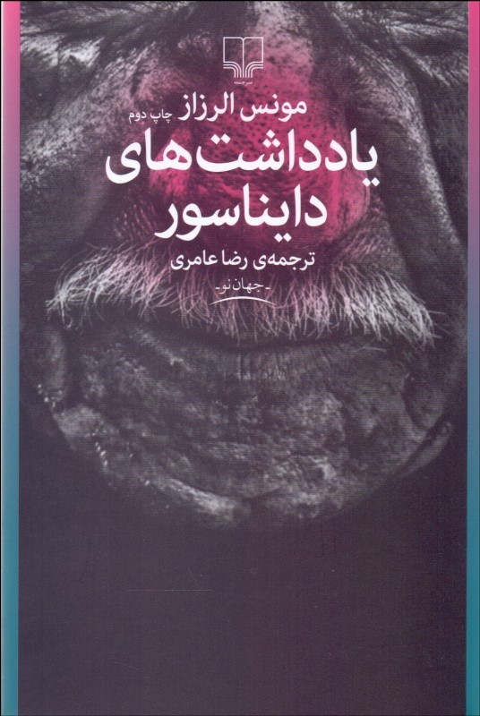 پایانه - یادداشت های دایناسور