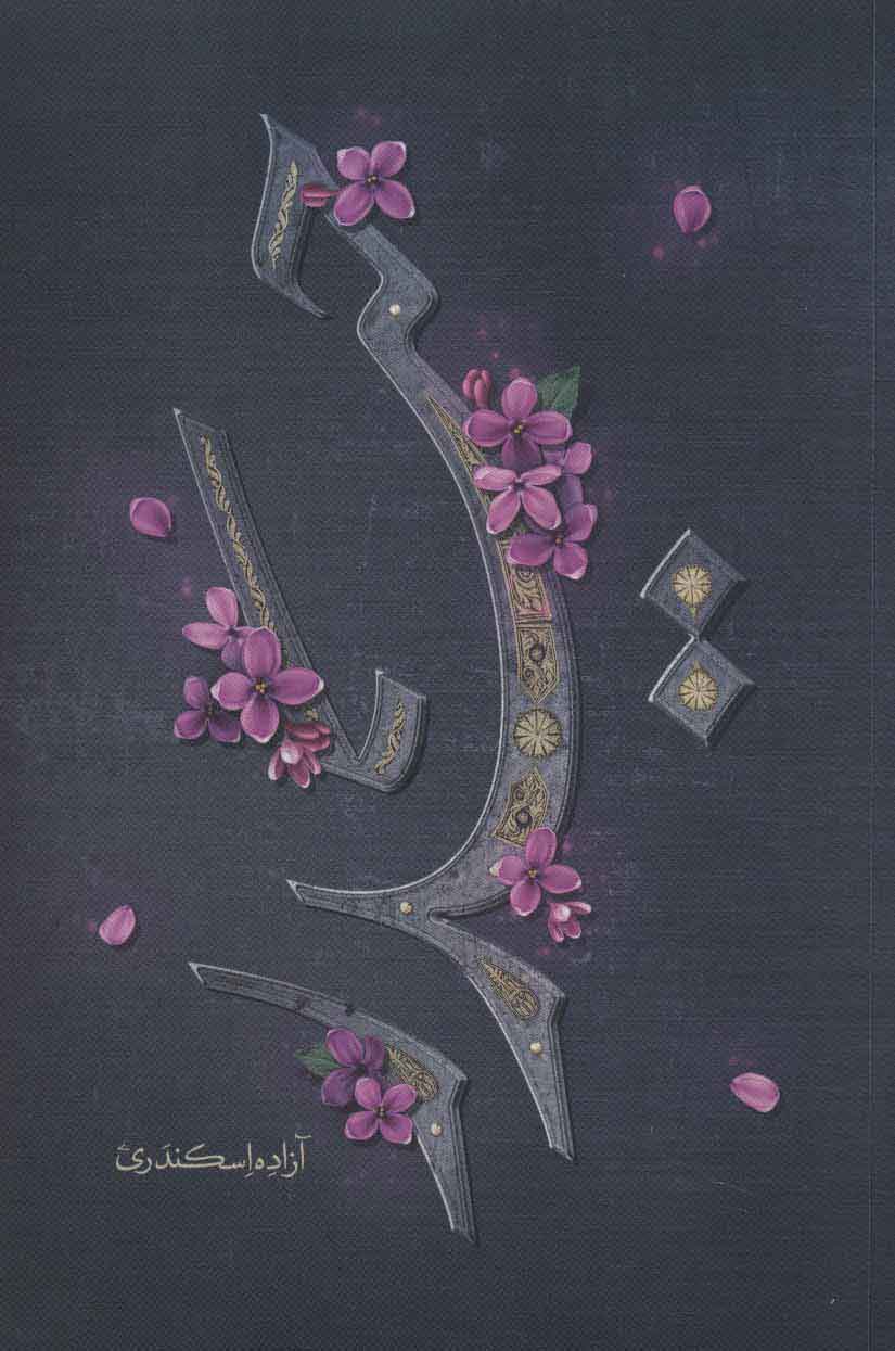 پایانه - حیدر