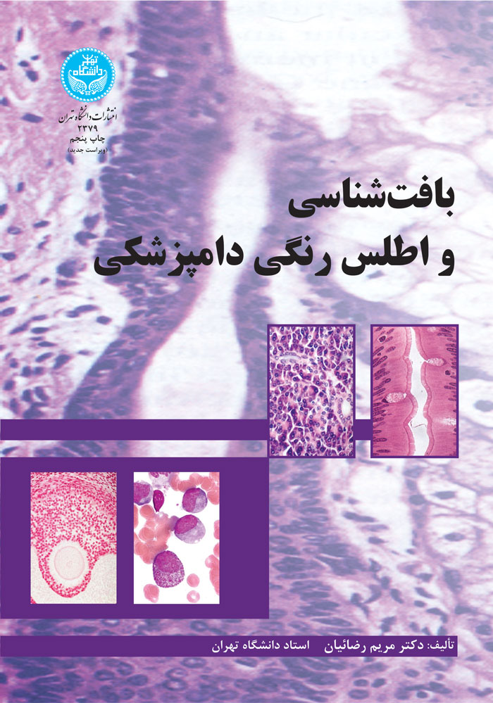 پایانه - بافت شناسی و اطلس رنگی دامپزشکی ‫