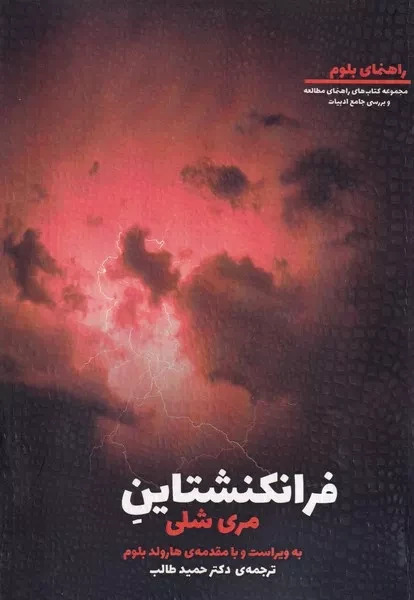 پایانه - فرانکنشتاین