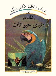 پایانه - رنگ در دنیای حیوانات