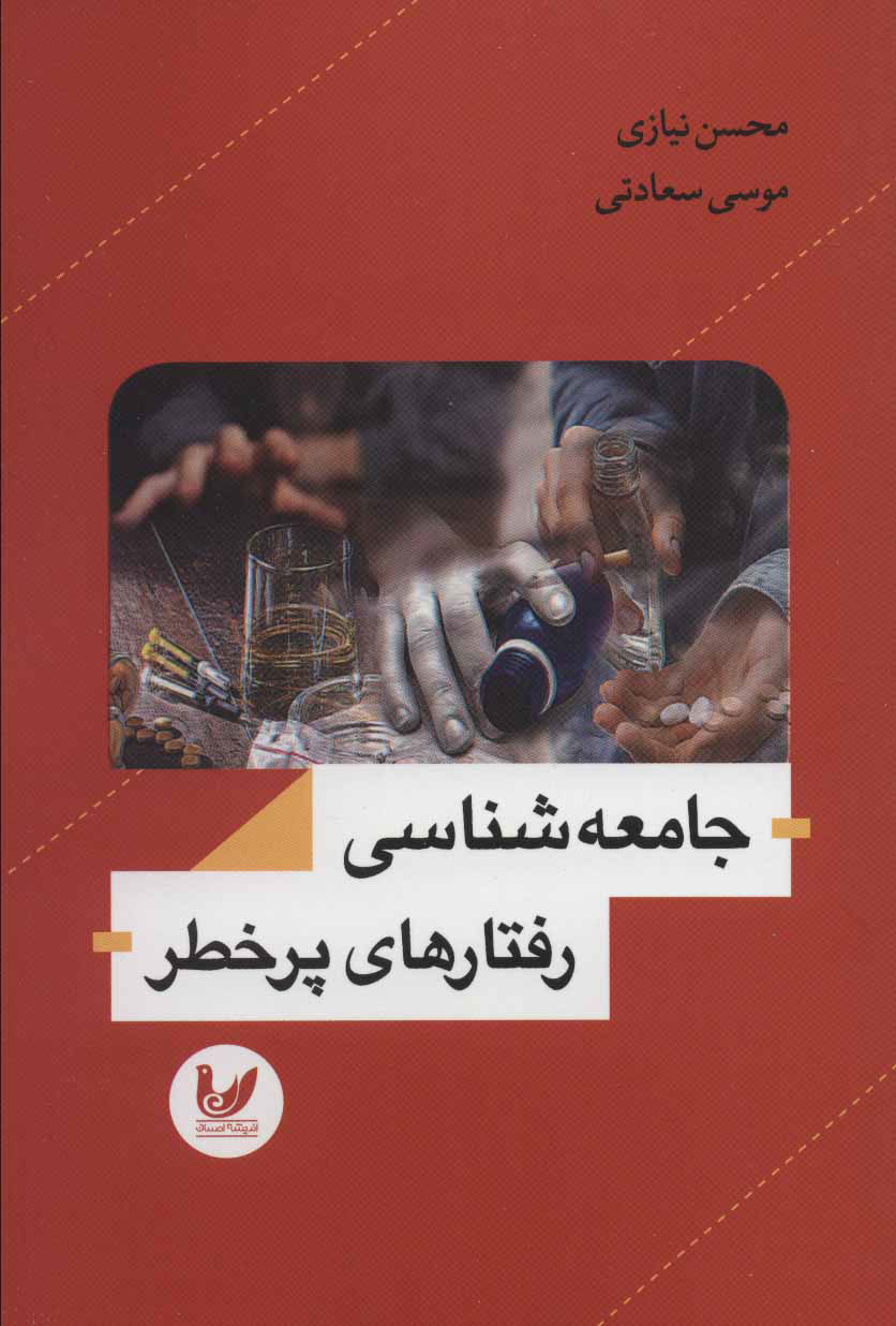 پایانه - جامعه شناسی رفتارهای پرخطر