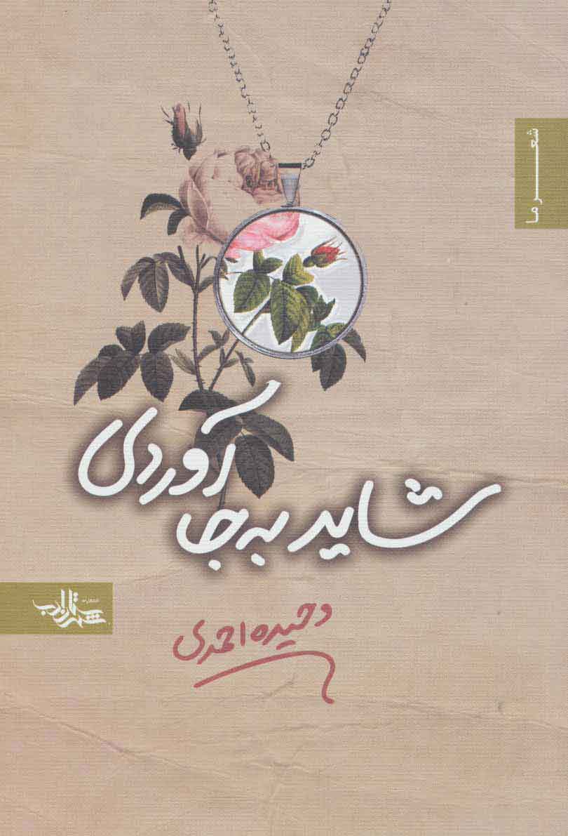 پایانه - شاید به جا آوردی