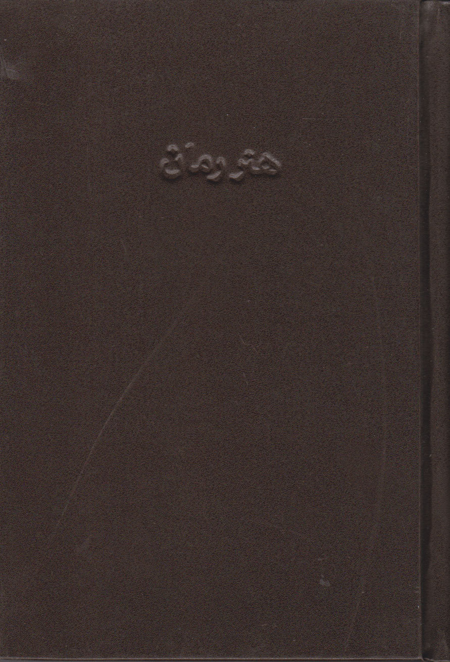 پایانه - هنر رمان