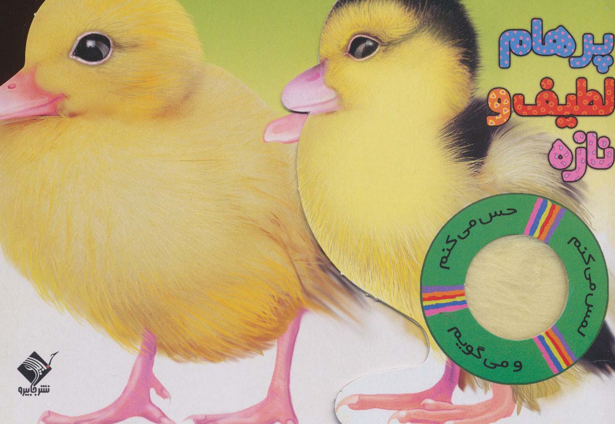 پایانه - پرهام لطیف و نازه