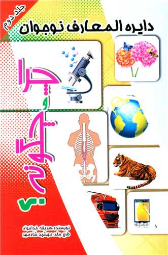 پایانه - چرا و چگونه ؟ (2)