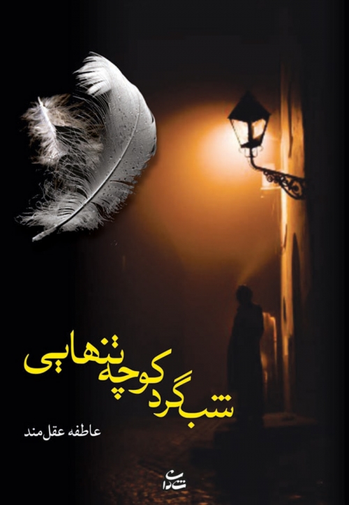 پایانه - شب گرد کوچه تنهایی