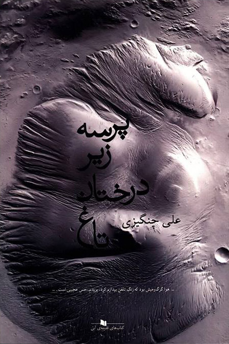 پایانه - پرسه زیر درختان تاغ