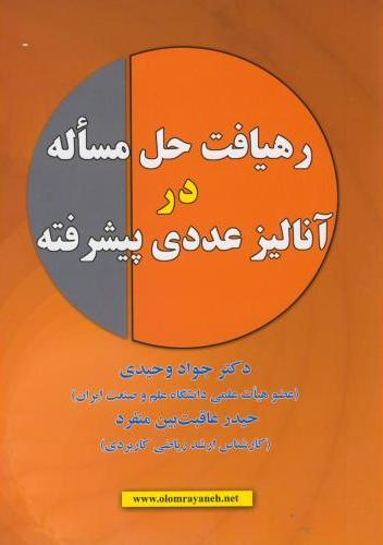 پایانه - رهیافت حل مساله در آنالیز عددی پیشرفته