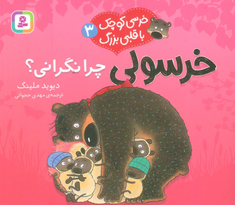 پایانه - خرسولی چرا نگرانی؟