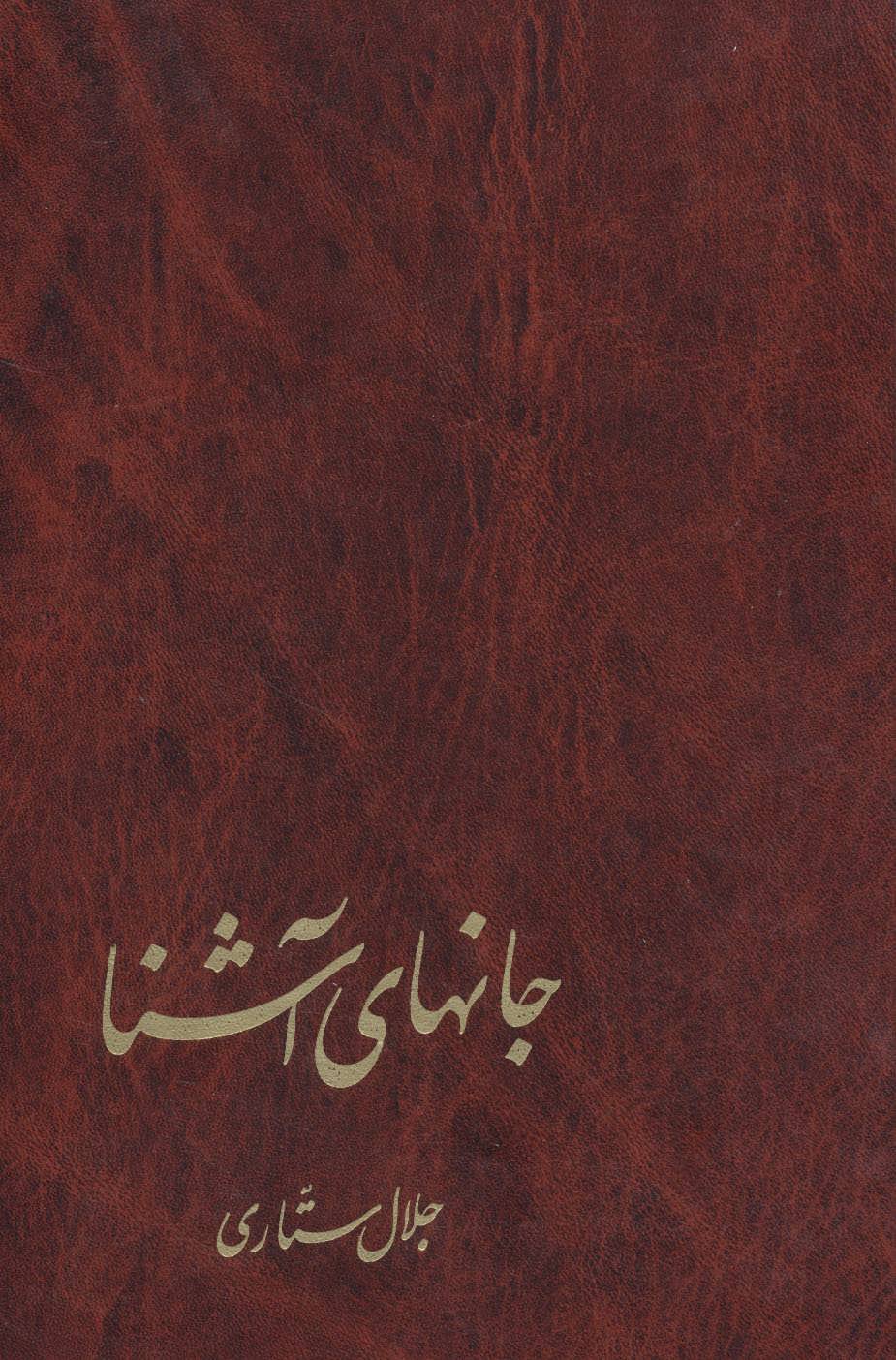 پایانه - جانهای آشنا