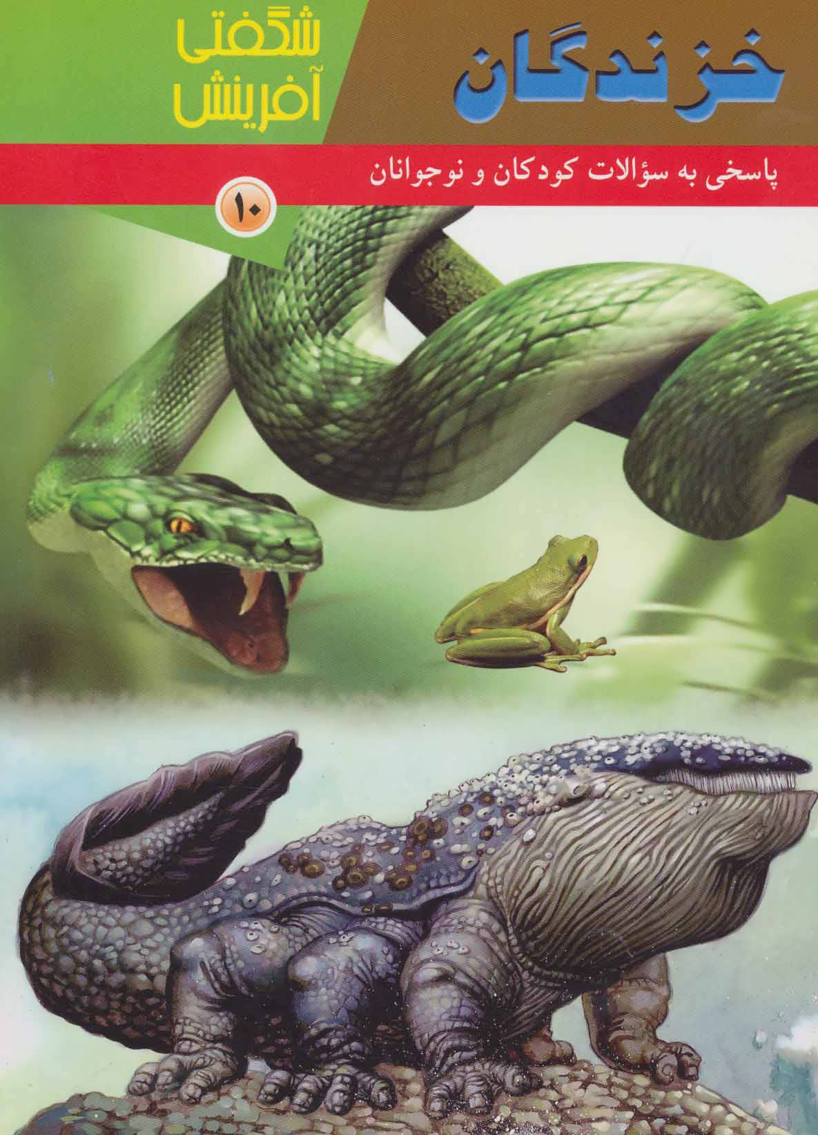 پایانه - خزندگان