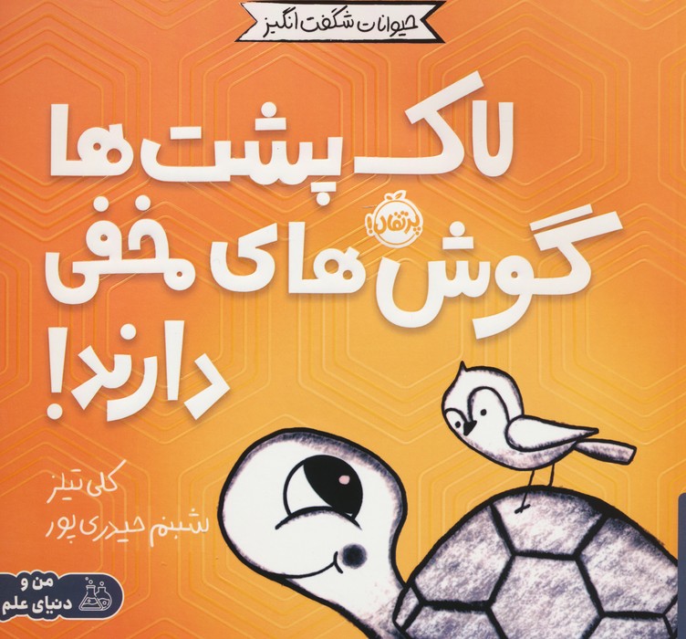 پایانه - لاک پشت ها گوش های مخفی دارند!