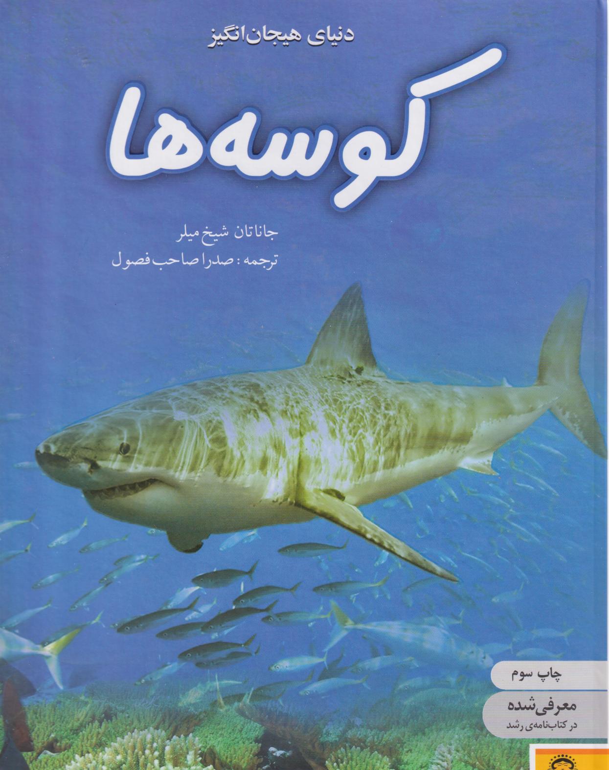 پایانه - کوسه ها