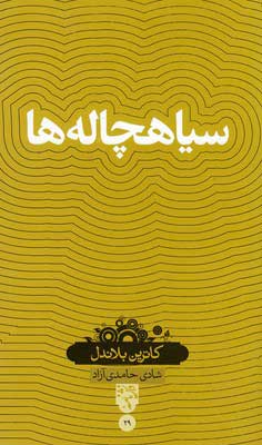 پایانه - سیاهچاله ها