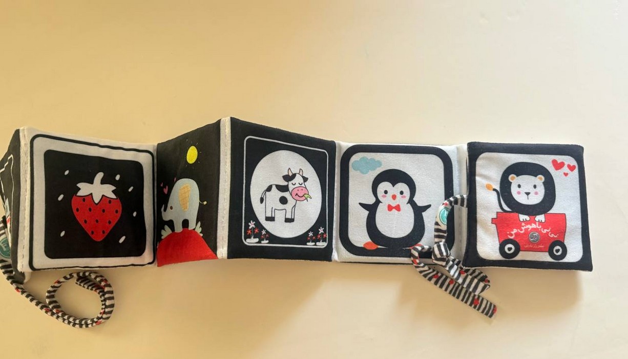 پایانه - پارچه ای سوت دار نی نی باهوش من