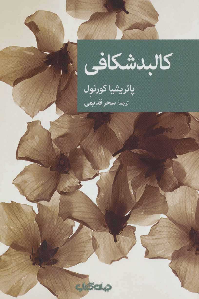 پایانه - کالبدشکافی