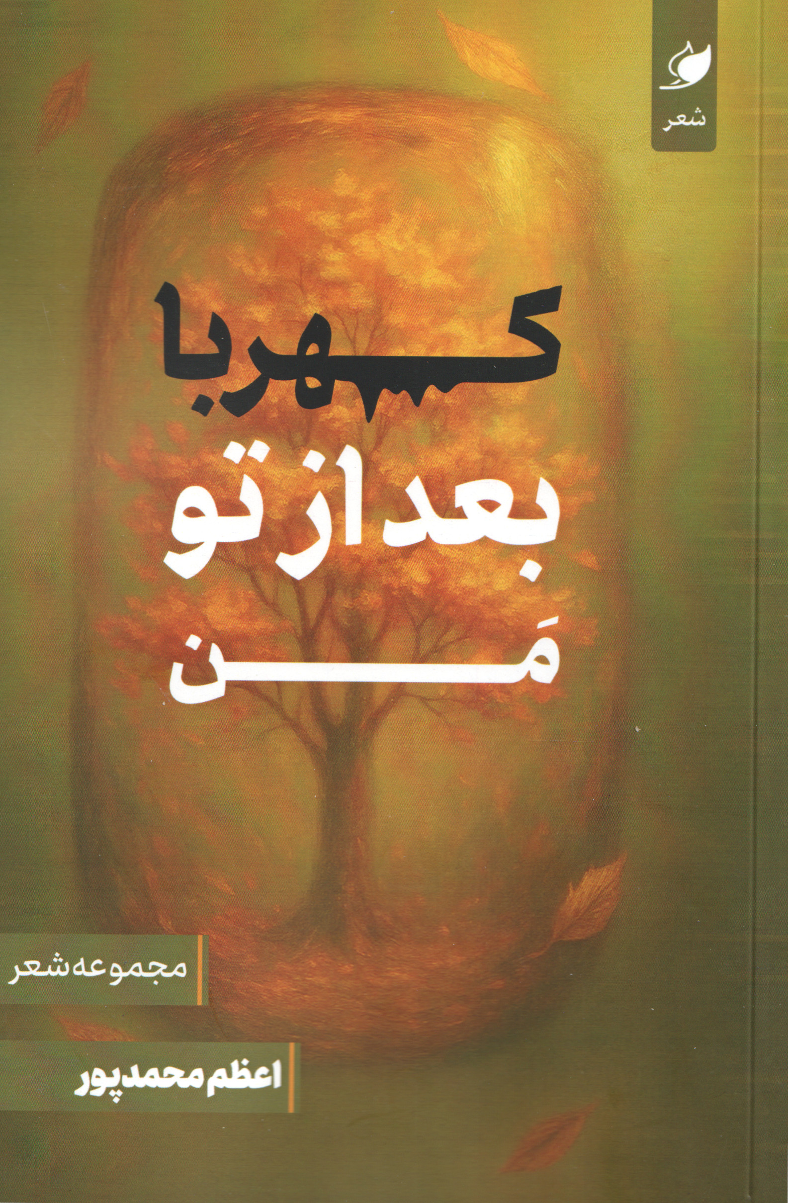 پایانه - کهربا بعد از تو من