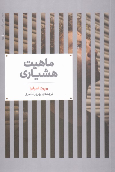 پایانه - ماهیت هشیاری