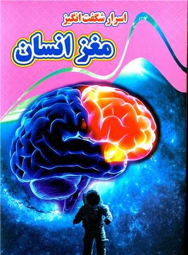 پایانه - اسرار شگفت انگیز مغز انسان