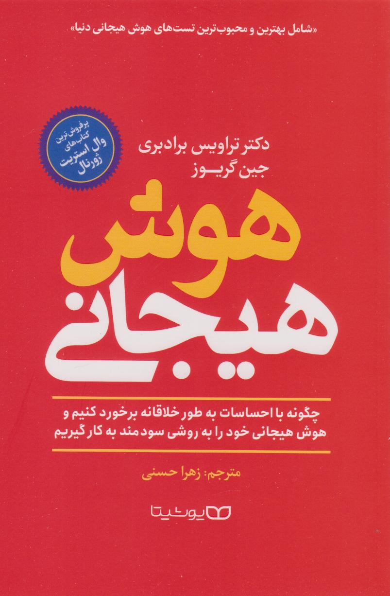 پایانه - هوش هیجانی