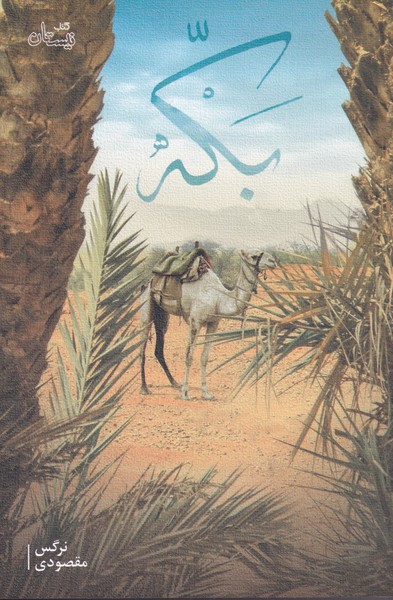 پایانه - بکه