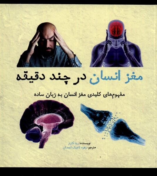 پایانه - مغز انسان در چند دقیقه