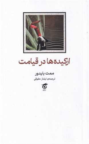 پایانه - ارکیده ها در قیامت