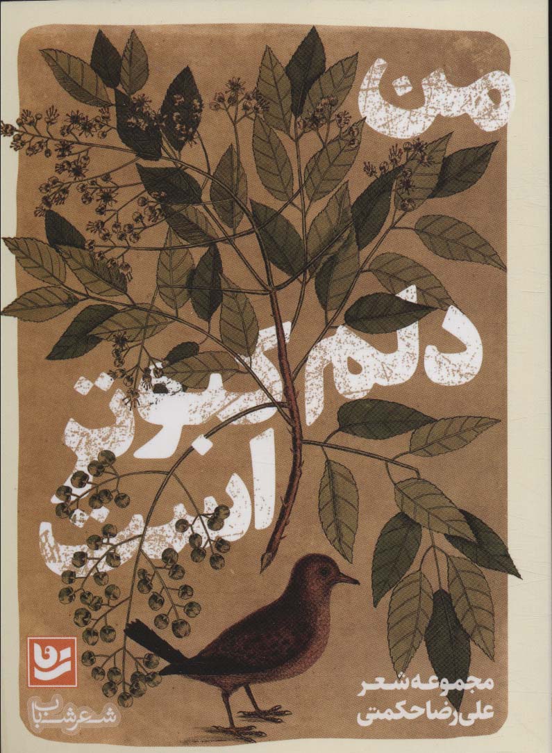 پایانه - من دلم کبوتر است