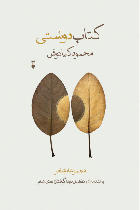 پایانه - دوستی