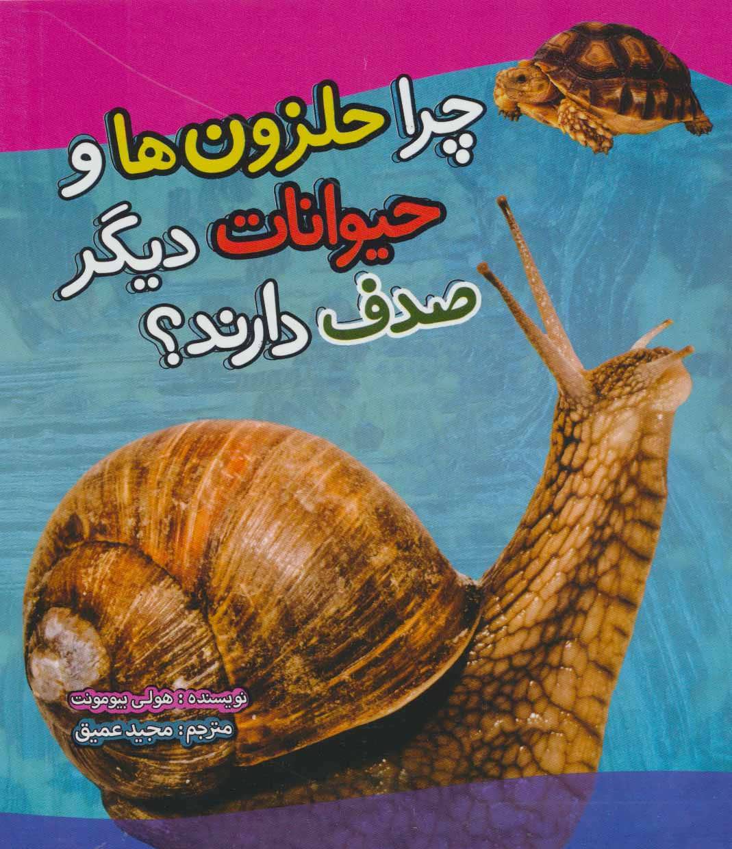 پایانه - چرا حلزون ها و حیوانات دیگر صدف دارند؟