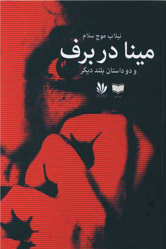 پایانه - مینا در برف