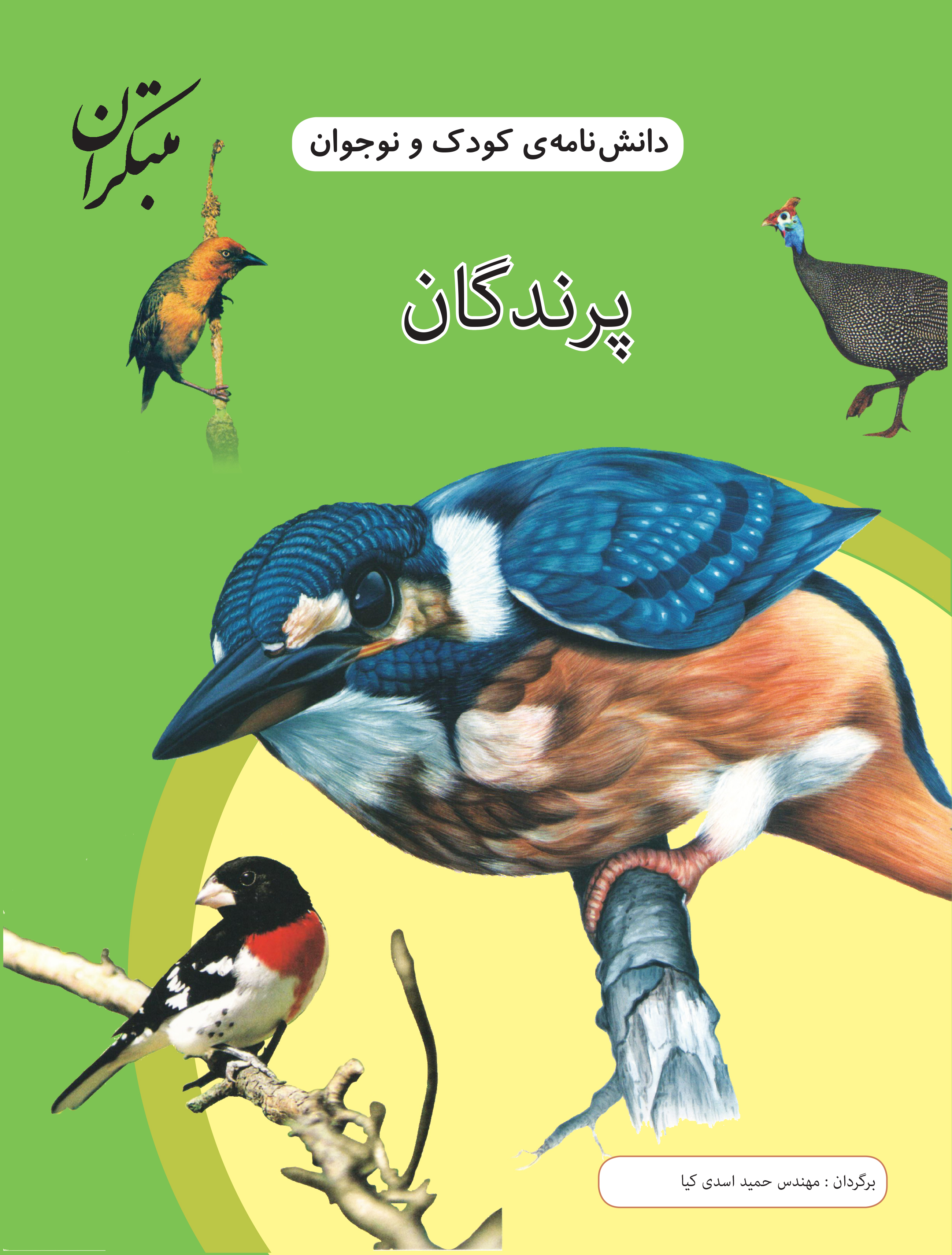 پایانه - پرندگان