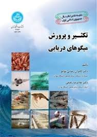 پایانه - تکثیر و پرورش میگوهای دریایی