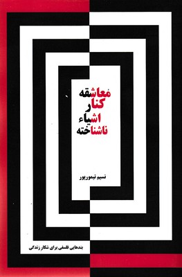 پایانه - معاشقه کنار اشیاء ناشناخته