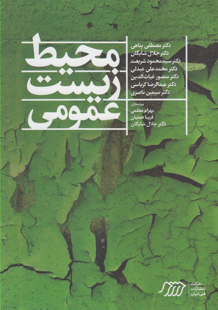 پایانه - محیط زیست عمومی