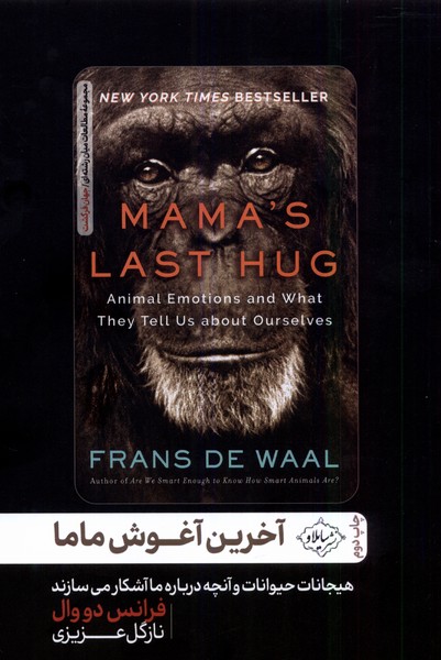 پایانه - آخرین آغوش ماما