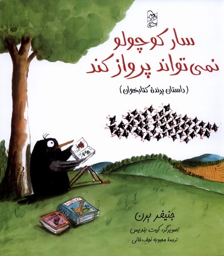 پایانه - سار کوچولو نمی تواند پرواز کند