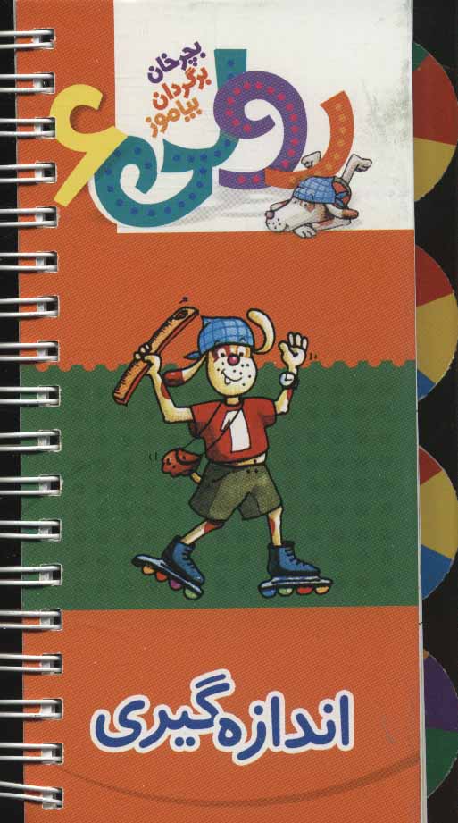 پایانه - رولی 6