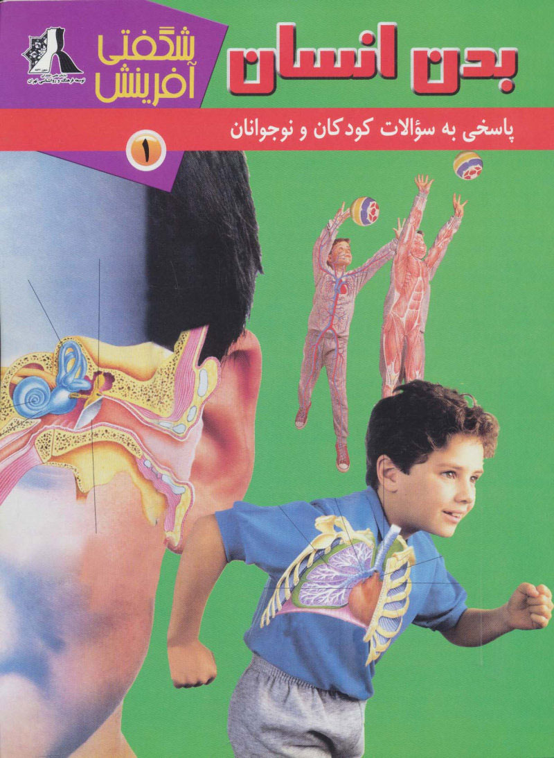 پایانه - بدن انسان