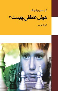 پایانه - هوش عاطفی چیست؟