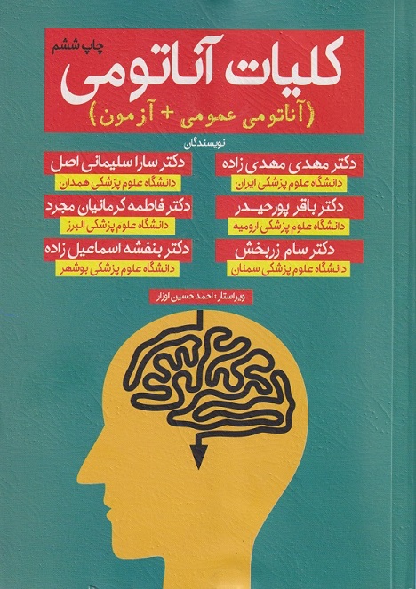 پایانه - کلیات آناتومی