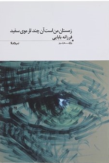 پایانه - زمستان من است آن چند تار موی سفید